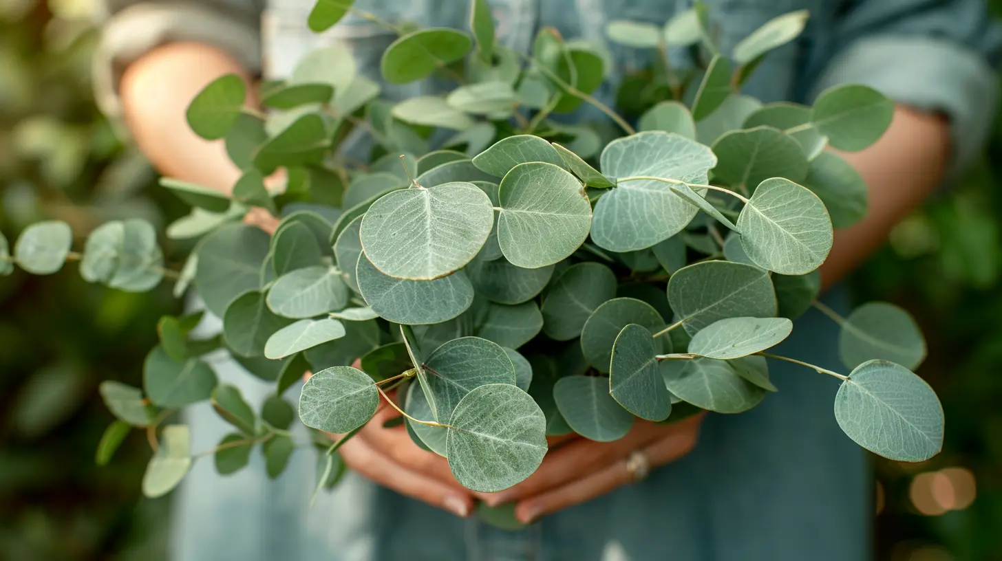 Eucalyptus Oil: Breathing Better from the Inside Out