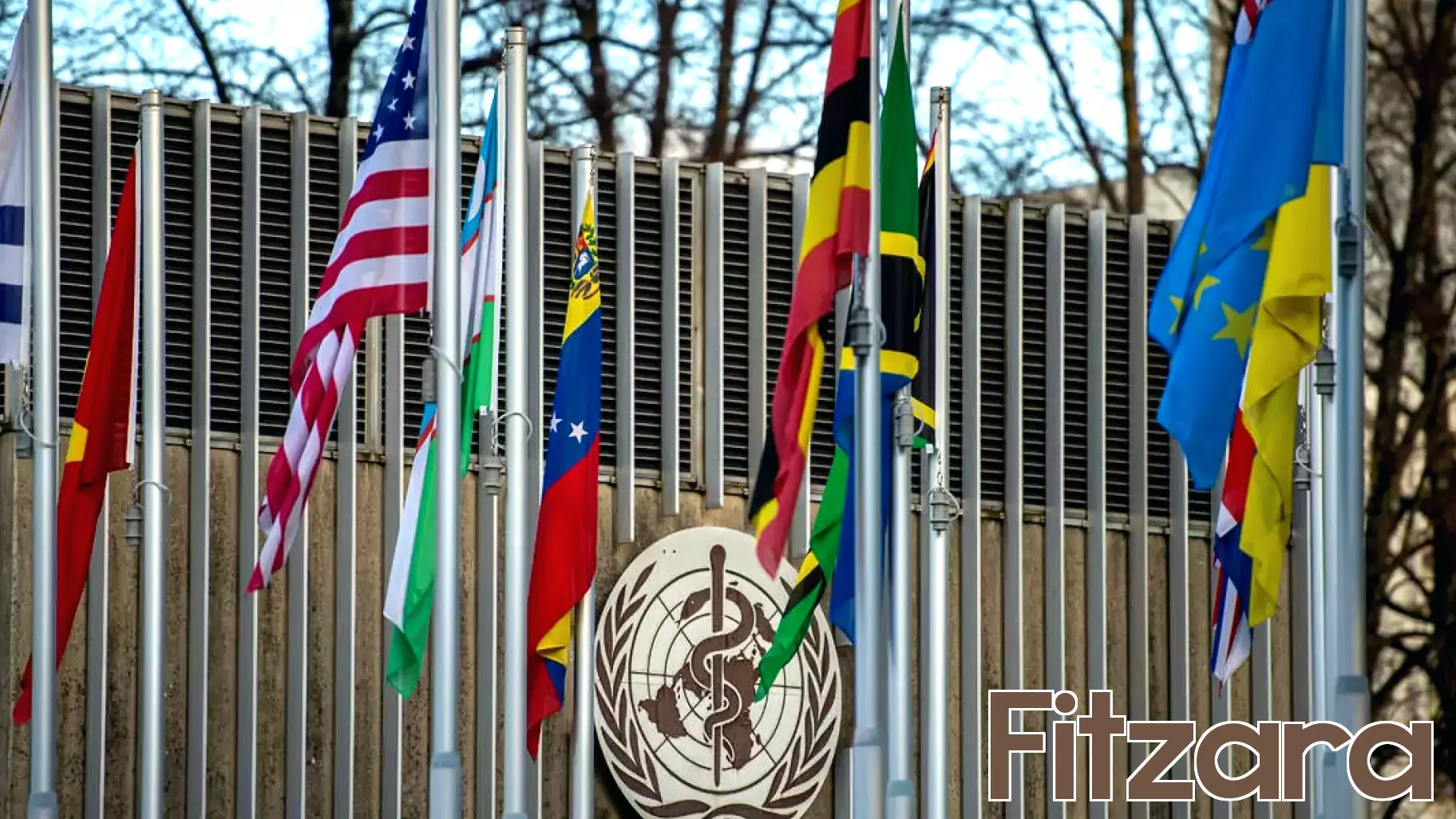 Implications of U.S. Withdrawal from the WHO for Global Health